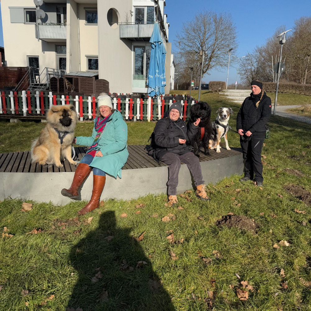 Hundeschule Golden Outback
