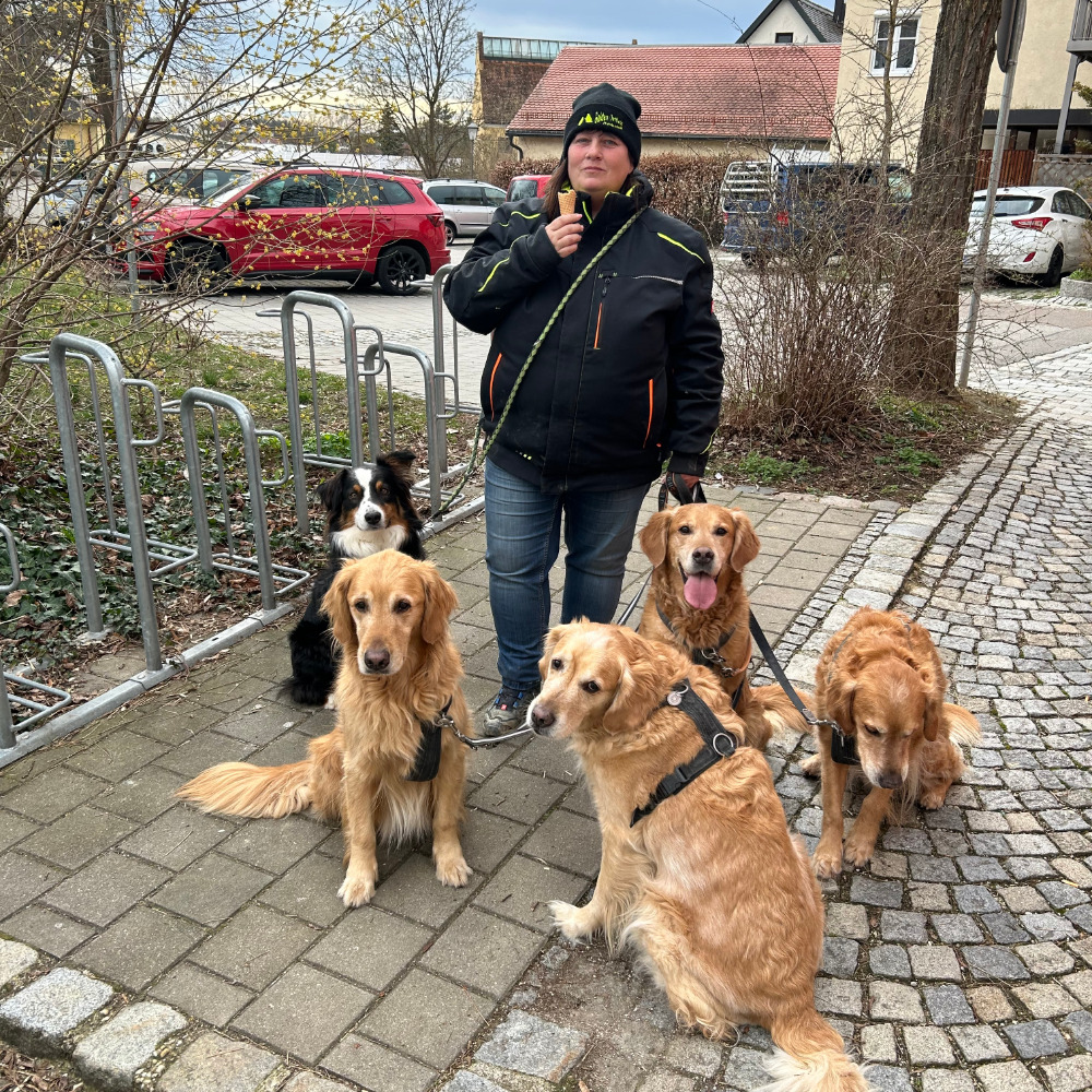 Hundeschule Golden Outback