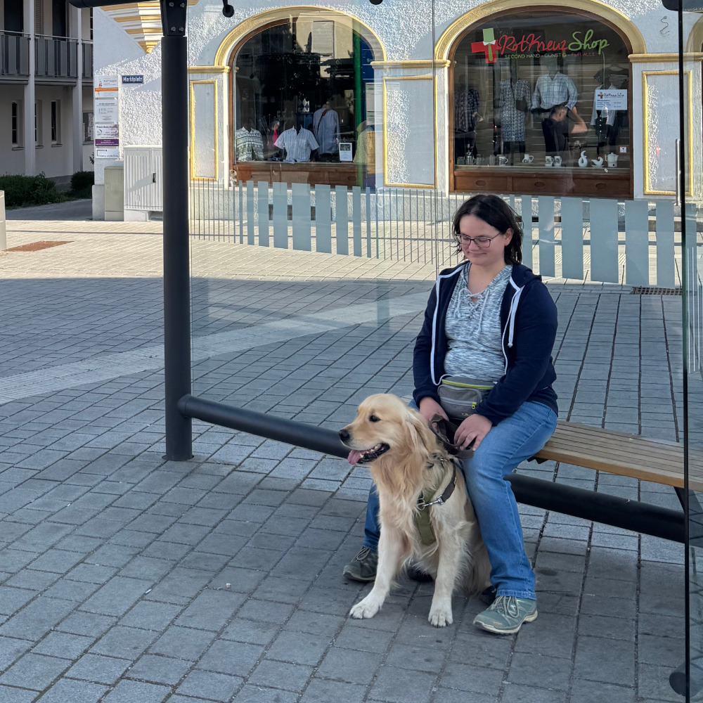 Hundeschule Golden Outback
